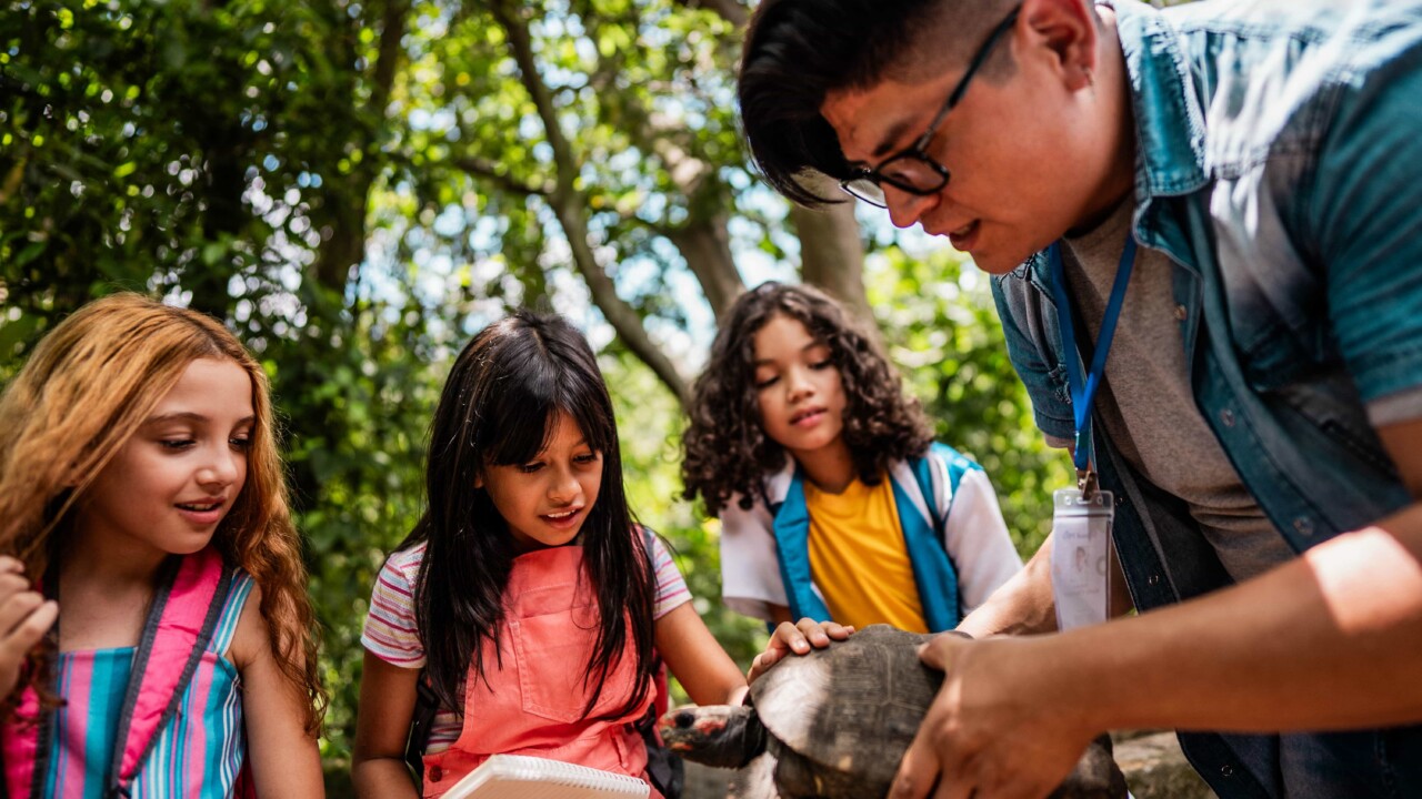A group of students examining a turtle.
