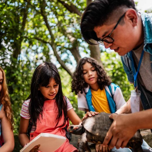 Un grupo de estudiantes observando una tortuga.
