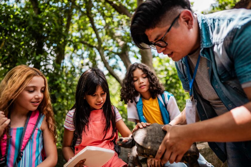 A group of students examining a turtle.